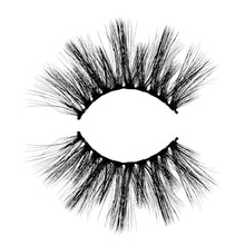 Load image into Gallery viewer, Starlight