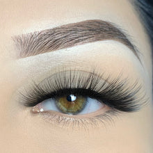 Load image into Gallery viewer, Staci