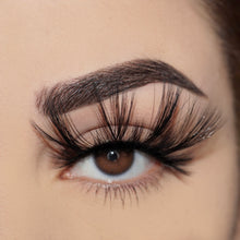 Load image into Gallery viewer, Spidy