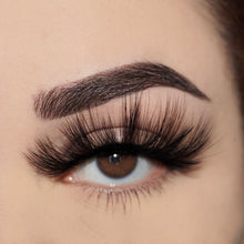 Load image into Gallery viewer, Starlight