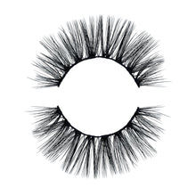 Load image into Gallery viewer, Chassy
